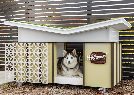 mutt'erfly house