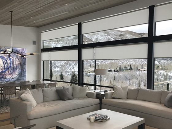 J Geiger Roller Shades feat