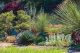 modern landscape with gravel, grasses and succulents